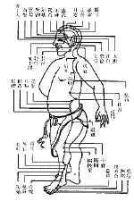 gallbladder meridian