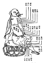 kidney meridian