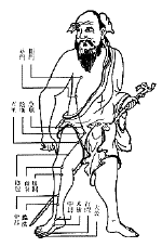 liver meridian