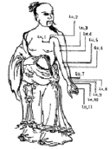 lung meridian