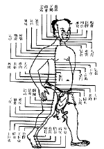 stomach meridian